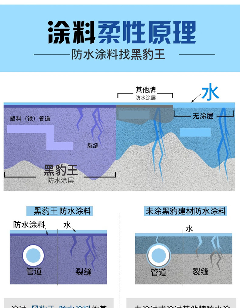 黑豹王_09