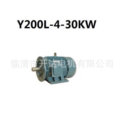 YE3-200L-4-30KW立卧式