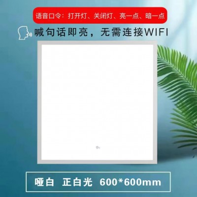 智能离线语音平板灯自动听话的灯免WiFi厨卫办公物业过道高端场所     10件